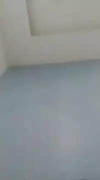 Dexiboy online show from January 7, 2025, 5:31 pm