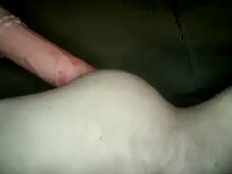 Snapshot of UnaDiosa chatting on December 24, 2024, 10:28 pm UnaDiosa online show from December 24, 2024, 10:28 pm