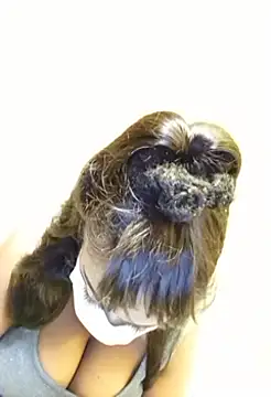 sexyal online show from February 5, 2026, 2:11 pm