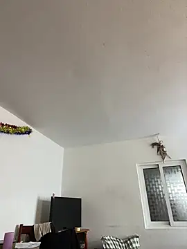 Snapshot of RicarBer chatting on February 8, 2026, 12:19 pm RicarBer online show from February 8, 2026, 12:19 pm