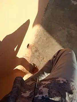 PracticalGum40 online show from January 11, 2026, 3:33 am