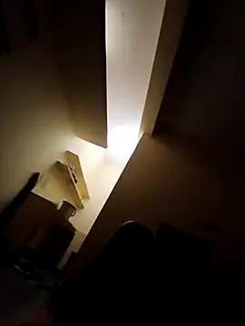 Snapshot of ken_tanaka chatting on February 3, 2025, 3:53 am ken tanaka online show from February 3, 2025, 3:53 am