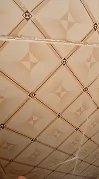 Snapshot of ken_tanaka chatting on February 18, 2025, 3:31 am ken tanaka online show from February 18, 2025, 3:31 am