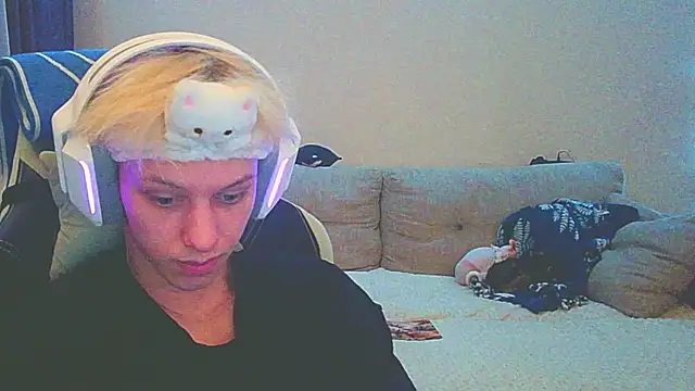 Ostin meow online show from December 14, 2024, 12:44 pm