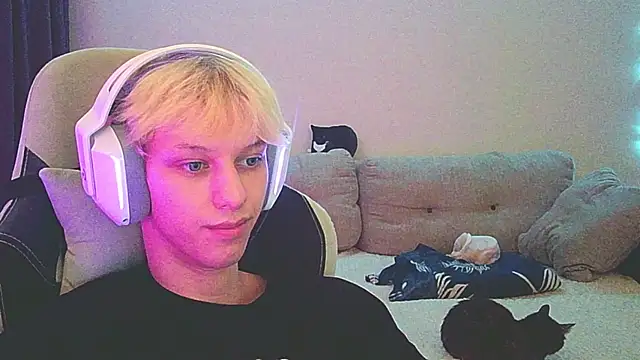 Ostin meow online show from December 19, 2024, 3:41 pm