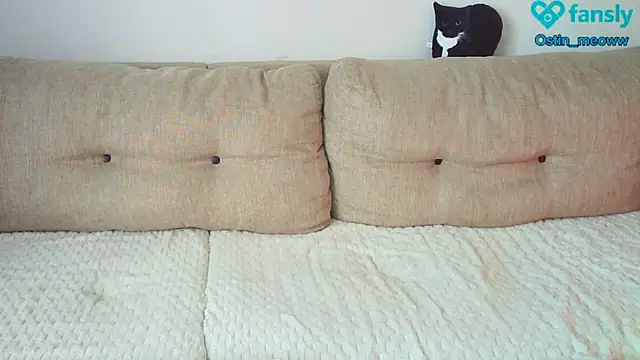 Ostin meow online show from February 25, 2025, 8:14 am