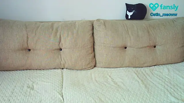 Ostin meow online show from March 19, 2025, 6:14 am