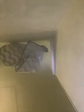 Tommy y Pamela online show from February 17, 2026, 3:25 am