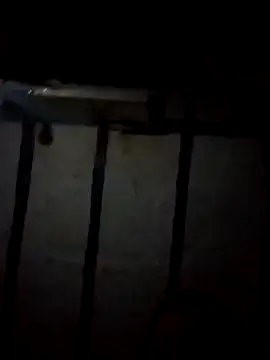 Love-Veronica online show from February 11, 2026, 2:00 pm