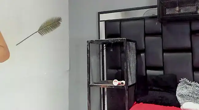 NovaMicheel online show from December 4, 2024, 6:55 am