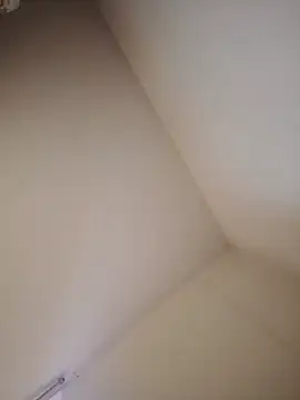 Snapshot of Fer-nand chatting on December 6, 2024, 1:44 pm Fer-nand online show from December 6, 2024, 1:44 pm