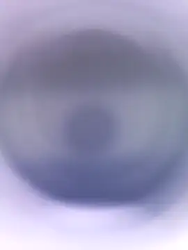 Lorrain Dorrie online show from January 28, 2025, 4:52 pm