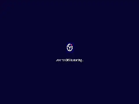 RoundGirl11 online show from July 9, 2026, 9:19 pm