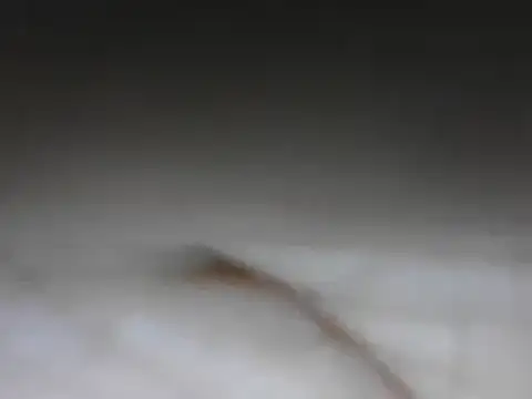 Snapshot of samee00721 chatting on January 24, 2025, 8:11 pm samee00721 online show from January 24, 2025, 8:11 pm