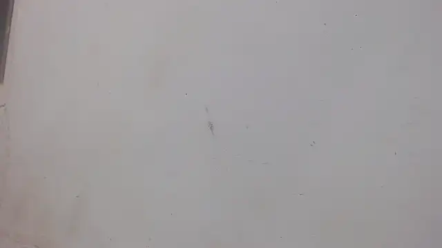 danilo302209 online show from February 1, 2025, 1:02 am