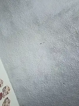 Darly Gomez online show from January 31, 2026, 8:07 pm