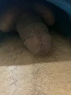 chikagokadi31 online show from April 10, 2026, 3:28 pm