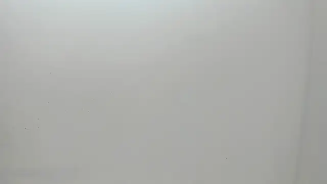 Flynn Riider online show from March 1, 2025, 11:17 am