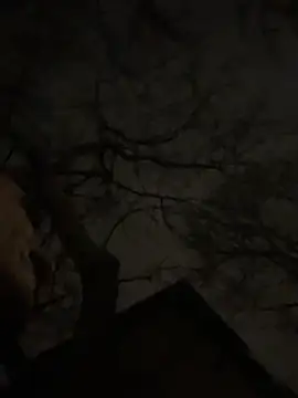 -yakimov- online show from January 31, 2026, 7:34 pm