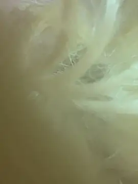 CherryEmmy online show from October 27, 2025, 7:18 pm