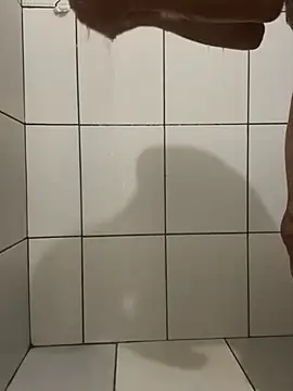 Snapshot of Henrico chatting on December 24, 2024, 9:33 pm Henrico online show from December 24, 2024, 9:33 pm