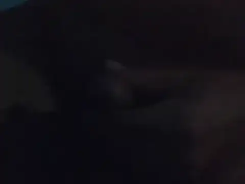 Penis58 online show from December 15, 2024, 10:26 pm