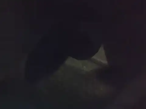 Penis58 online show from December 22, 2024, 12:16 pm