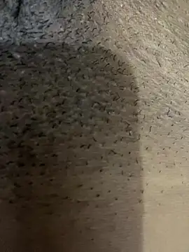 Gordelicia03 online show from November 19, 2025, 3:12 pm