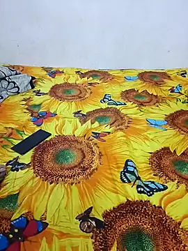 bhavanitelu online show from December 28, 2024, 11:30 am