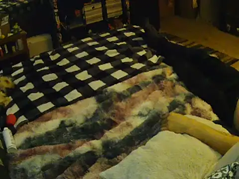 EroticKityii online show from April 1, 2026, 5:08 am