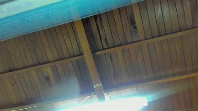 jeicob gagnon online show from September 15, 2025, 2:00 am