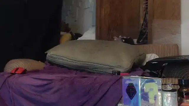 Snapshot of SecZorgan chatting on November 1, 2025, 3:03 pm SecZorgan online show from November 1, 2025, 3:03 pm