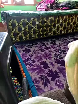 bigtoool12 online show from October 2, 2025, 6:31 am