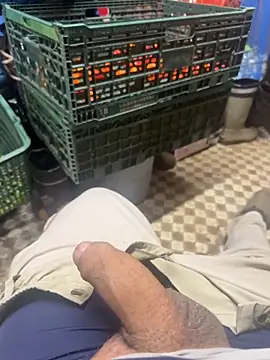 069kinchan online show from December 3, 2025, 10:24 am