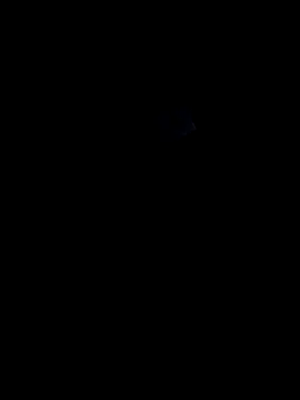 lokillo- 3000 online show from March 15, 2025, 4:13 am