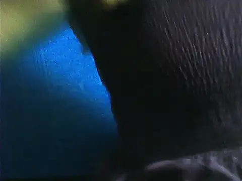 Tamil Vishalini online show from November 28, 2025, 7:11 am