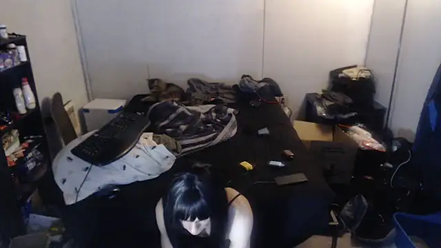 Snapshot of SadCatDaddy chatting on February 15, 2025, 8:11 am SadCatDaddy online show from February 15, 2025, 8:11 am