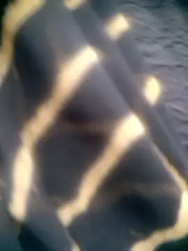 Amaya Bajwa online show from December 15, 2025, 4:39 am