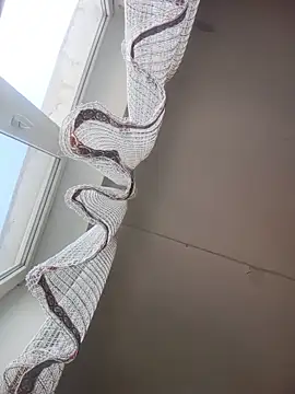 Lauren Amabel online show from March 17, 2026, 10:07 am