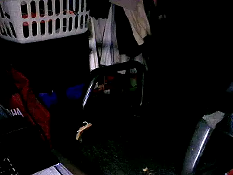 Snapshot of SergCarMX1 chatting on October 6, 2025, 8:50 pm SergCarMX1 online show from October 6, 2025, 8:50 pm