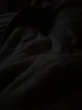 Lilymoonshow online show from April 7, 2026, 3:29 am