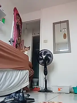 Snapshot of Munnoki chatting on April 2, 2026, 9:29 am Munnoki online show from April 2, 2026, 9:29 am