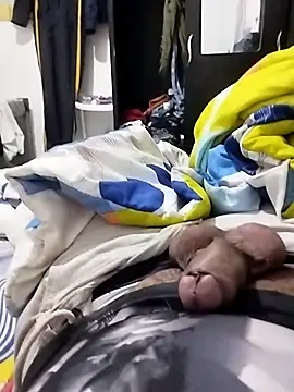 andresgutyfey online show from November 25, 2025, 3:50 am