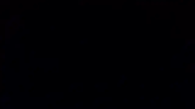 petina online show from January 15, 2026, 6:33 pm