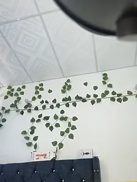 miaa--pervert online show from January 15, 2025, 1:20 pm