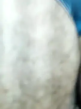 HGKNSS online show from April 10, 2026, 6:34 pm