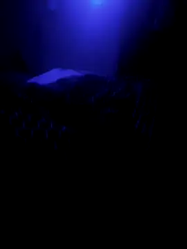 Raziv komal143 online show from February 26, 2025, 12:16 am