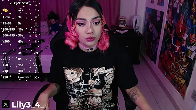 lily3 4 online show from January 21, 2025, 5:05 am