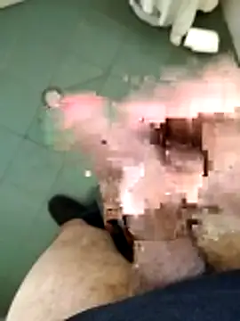 Snapshot of arveia chatting on March 19, 2026, 1:37 pm arveia online show from March 19, 2026, 1:37 pm