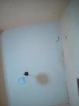 LuisMex1998 online show from November 14, 2025, 2:21 am